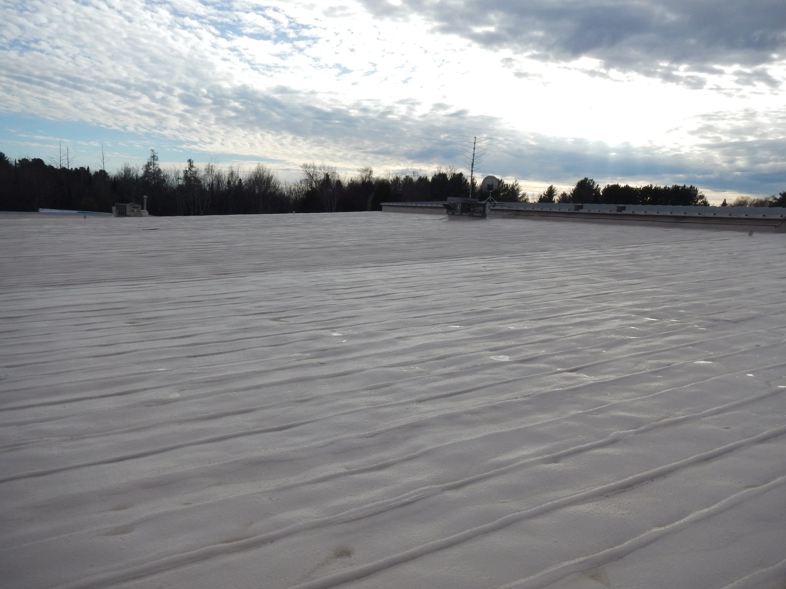 Coated warehouse steel roof